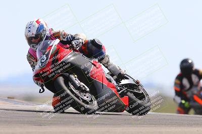 media/Mar-10-2024-SoCal Trackdays (Sun) [[6228d7c590]]/10-Turn 9 (115pm)/